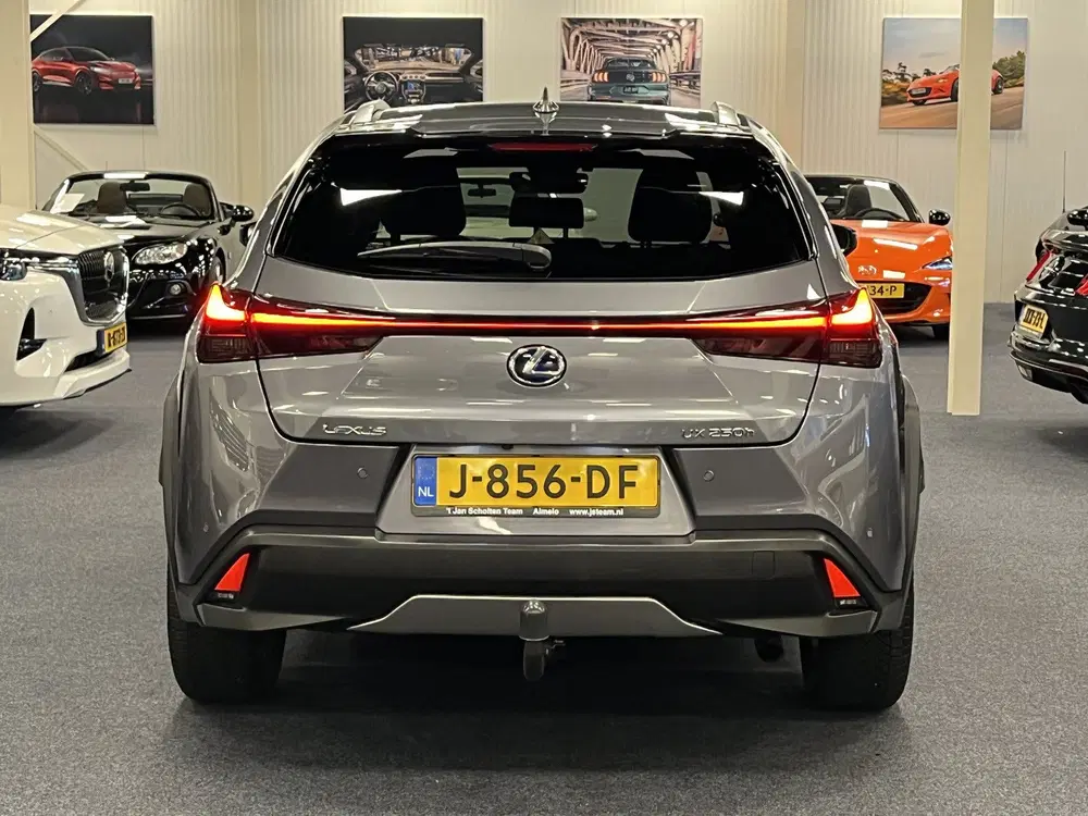 Lexus UX 250h Hybrid uit 2020, foto 11