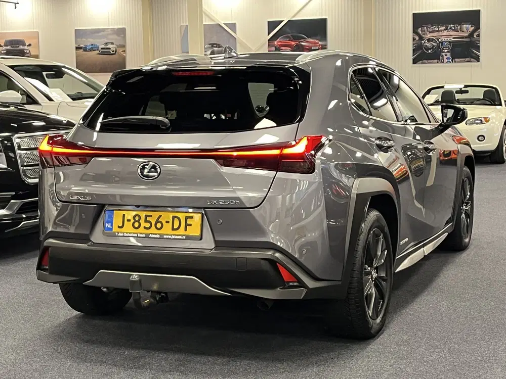 Lexus UX 250h Hybrid uit 2020, foto 12