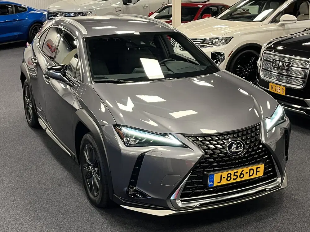 Lexus UX 250h Hybrid uit 2020, foto 4