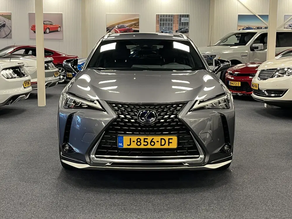 Lexus UX 250h Hybrid uit 2020, foto 6
