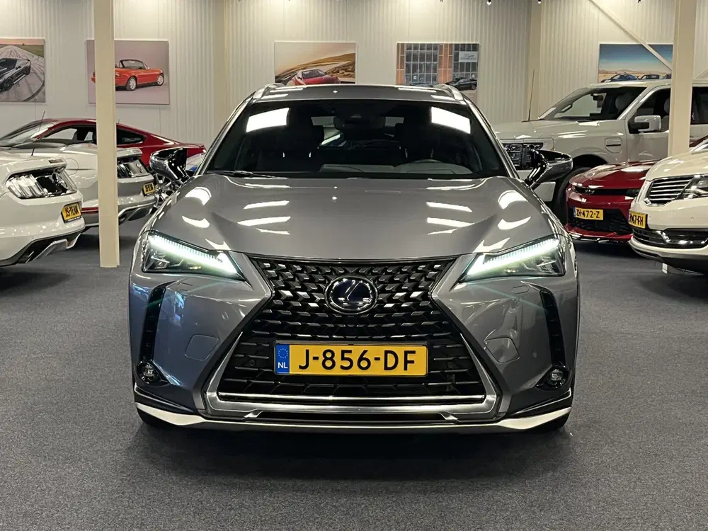 Lexus UX 250h Hybrid uit 2020, foto 7