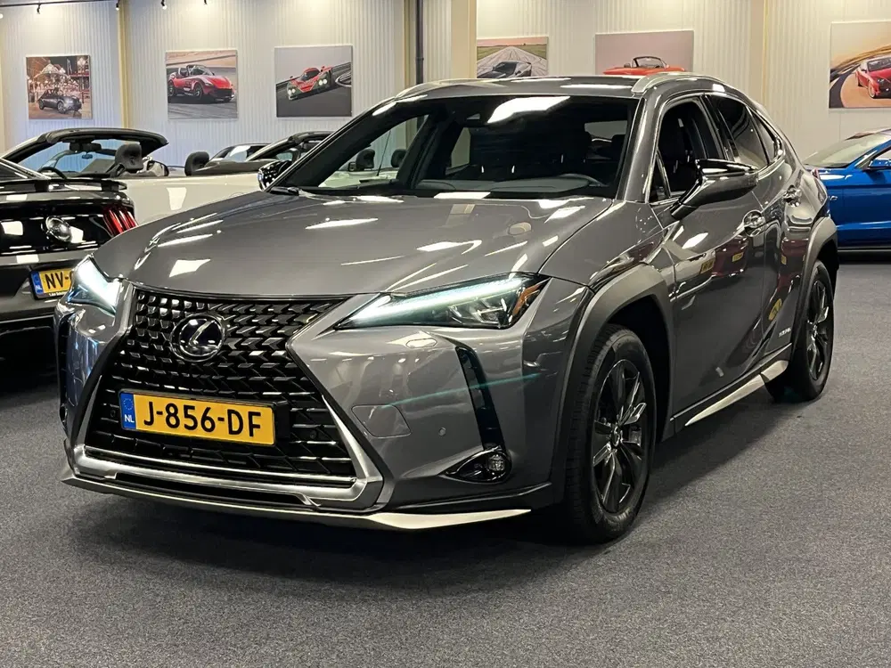 Lexus UX 250h Hybrid uit 2020, foto 9
