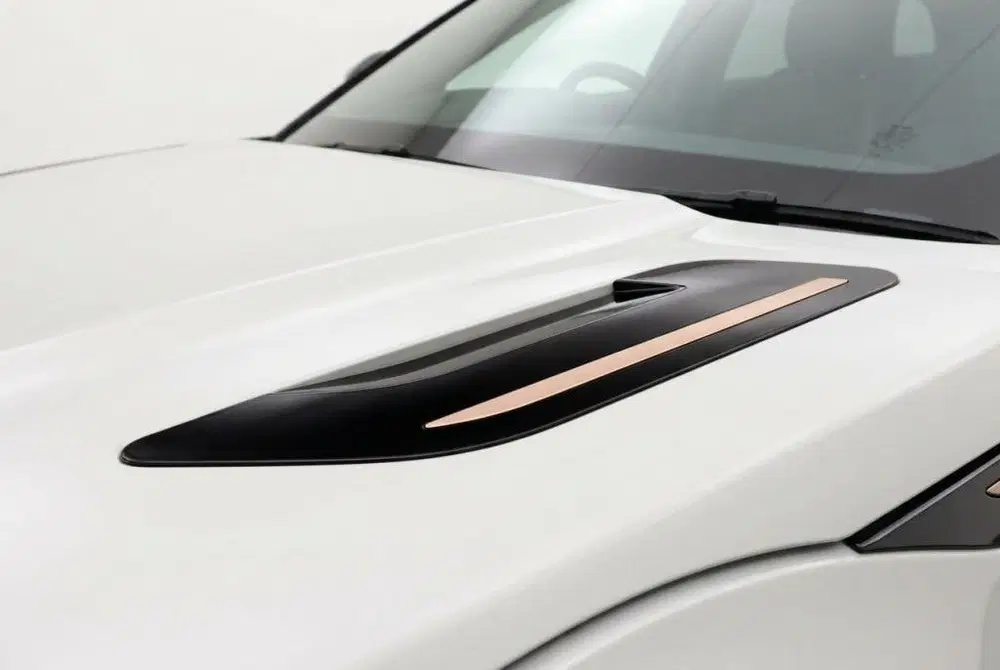 Land Rover Range Rover Evoque 1.5 P300e AWD R-Dynamic HSE Pa uit 2022, foto 10