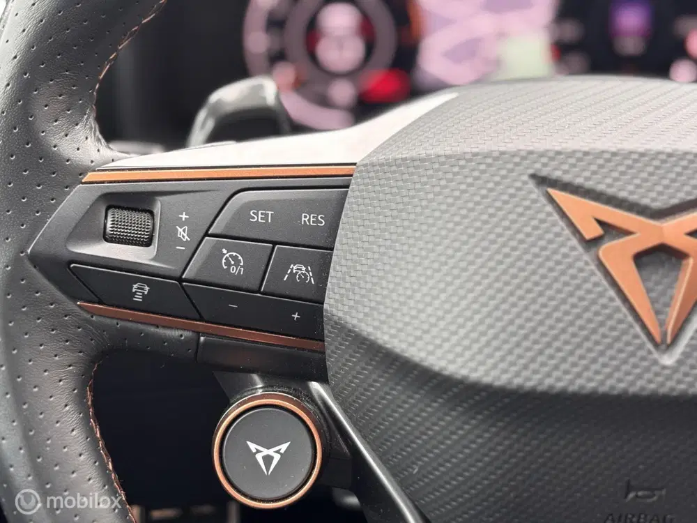 Cupra Formentor 2.0 TSI 4DRIVE VZ Memory uit 2023, foto 11