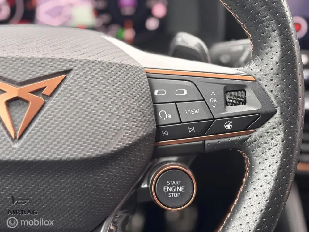 Cupra Formentor 2.0 TSI 4DRIVE VZ Memory uit 2023, foto 12