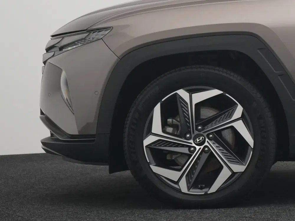 Hyundai TUCSON 1.6 T-GDI PHEV 4WD 6AT 265PK Premium Sky uit 2023, foto 6