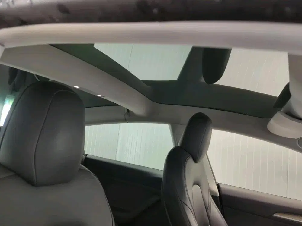 Tesla Model 3 RWD Plus 60 kWh WARMTEPOMP uit 2021, foto 8