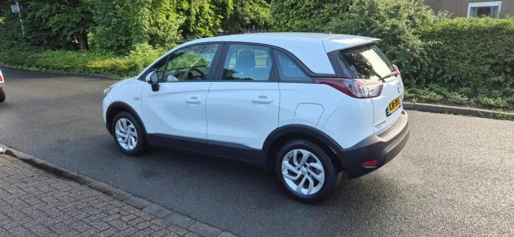 Opel Crossland 120 Jaar Edition*Apple Carplay uit 2019, foto 2