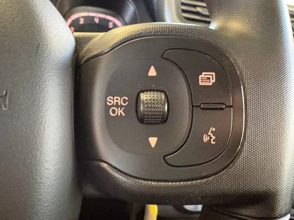 Fiat Panda 1.0 Hybr. City Cross uit 2020, foto 11