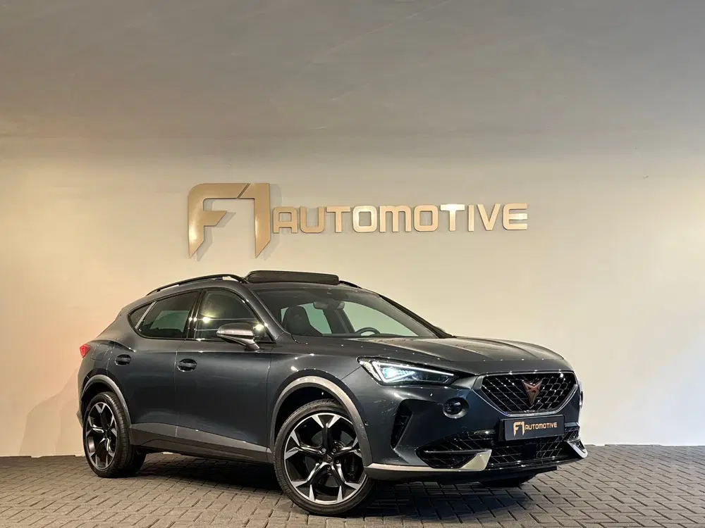 Cupra Formentor 2.0 TSI 4DRIVE Pano uit 2022, foto 3
