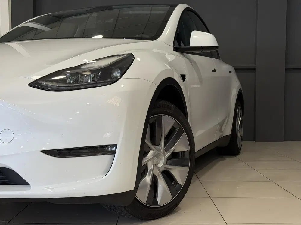 Tesla Model Y Long Range AWD 75 kWh uit 2023, foto 2