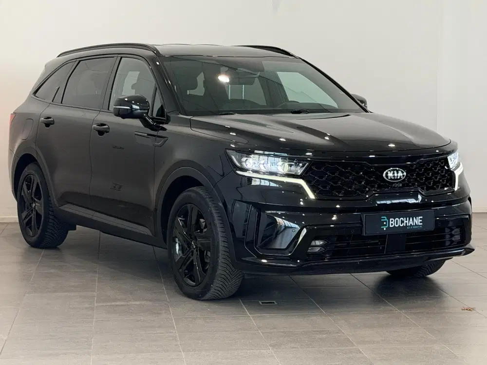 Kia Sorento 1.6 T-GDI Plug-in Hybrid 4WD ExecutiveLine uit 2021, foto 6