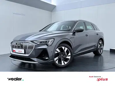 Audi e-tron 55 quattro S edition 95 kWh uit 2023