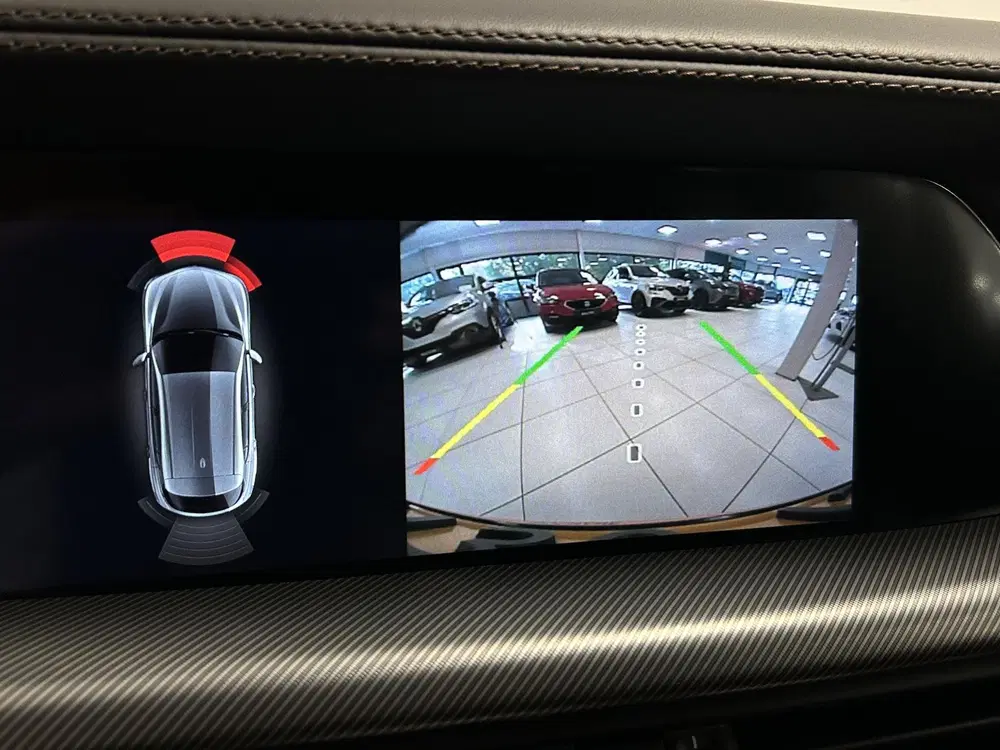 Alfa Romeo Stelvio 2.0 T AWD Veloce uit 2020, foto 12