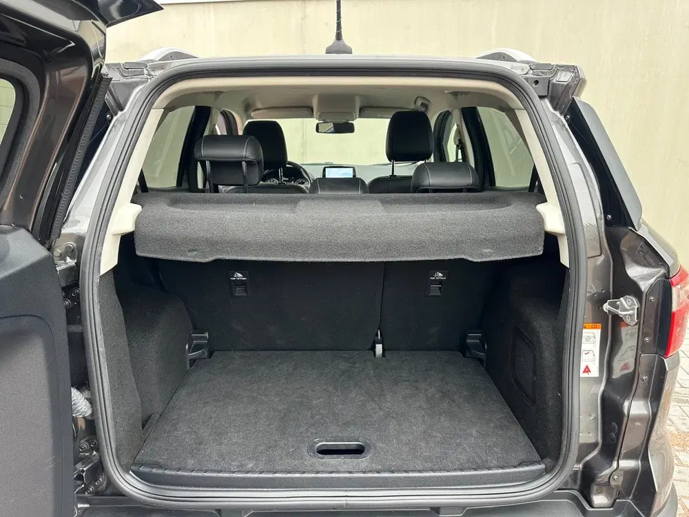 Ford EcoSport 1.0 EcoBoost Titanium Climate C uit 2019, foto 9