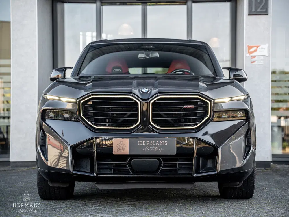 BMW XM PHEV Label Red 30 kWh uit 2023, foto 6