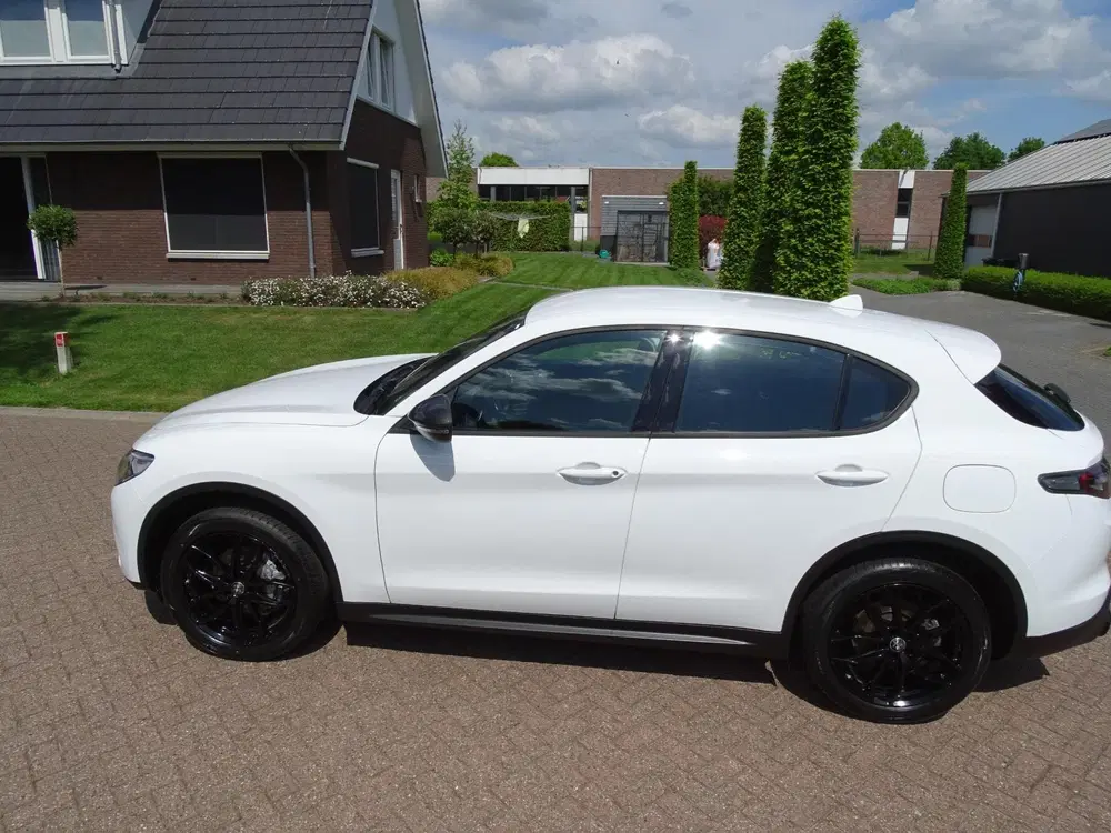 Alfa Romeo Stelvio 2.0 T AWD Super uit 2020, foto 6