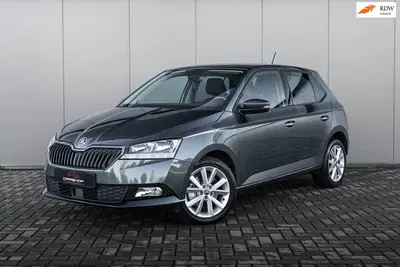 Skoda Fabia 1.0 TSI CLEVER EDITION AUTOMAAT uit 2019