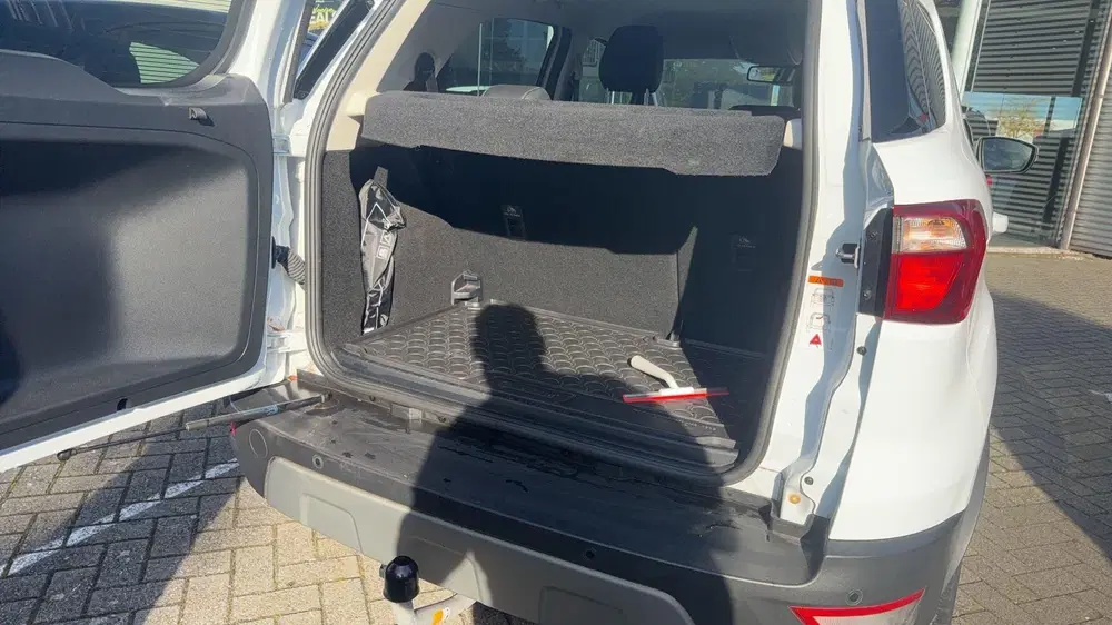 Ford EcoSport Titanium uit 2020, foto 11