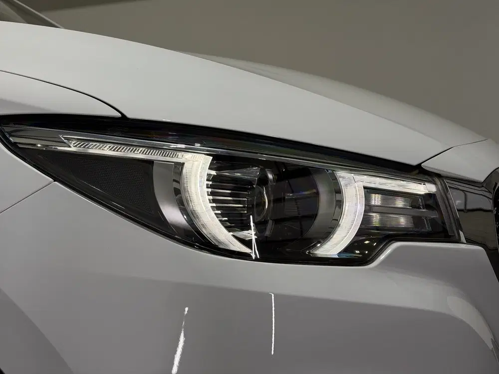 MG ZS EV Luxury 45 kWh uit 2020, foto 12