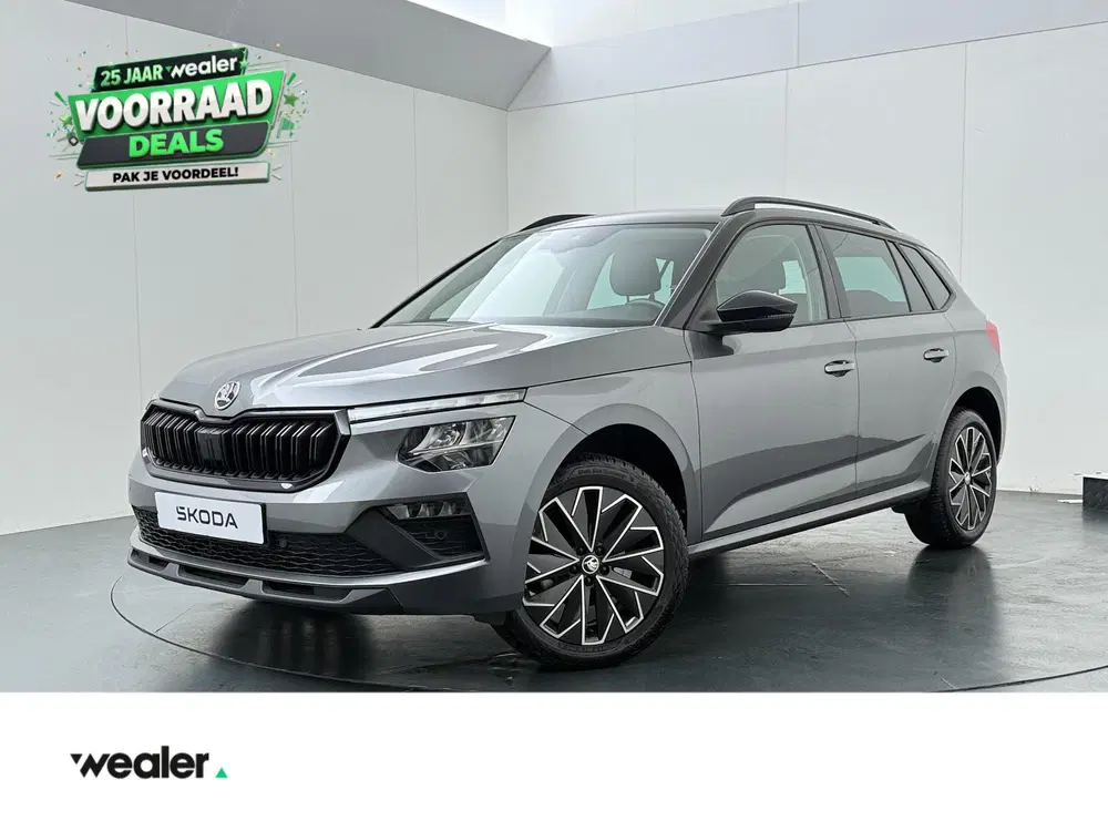 Skoda Kamiq 1.5 TSI ACT Business Edition uit 2024