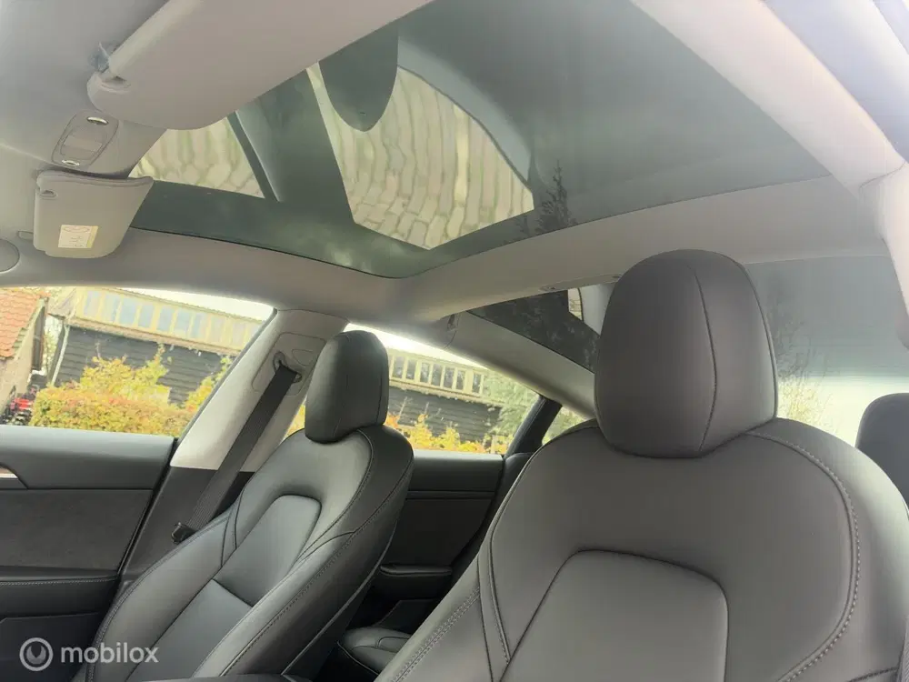 Tesla Model 3 Standard RWD 60 kWh uit 2022, foto 14