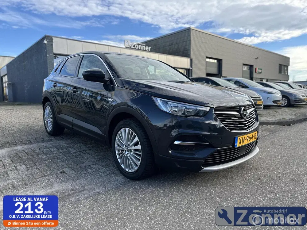 Opel Grandland 1.2 Turbo Ultimate uit 2019