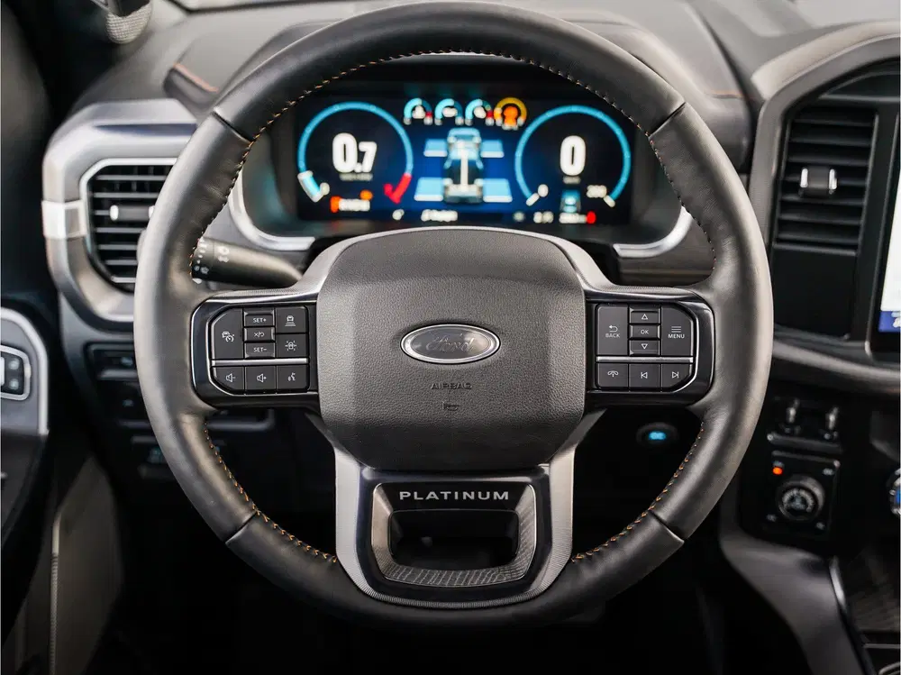 Ford F 150 F150 Platinum CrewCab 3.5L EcoBoost uit 2022, foto 8