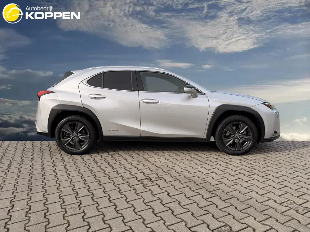 Lexus UX 250h AWD Executive Line uit 2020, foto 10
