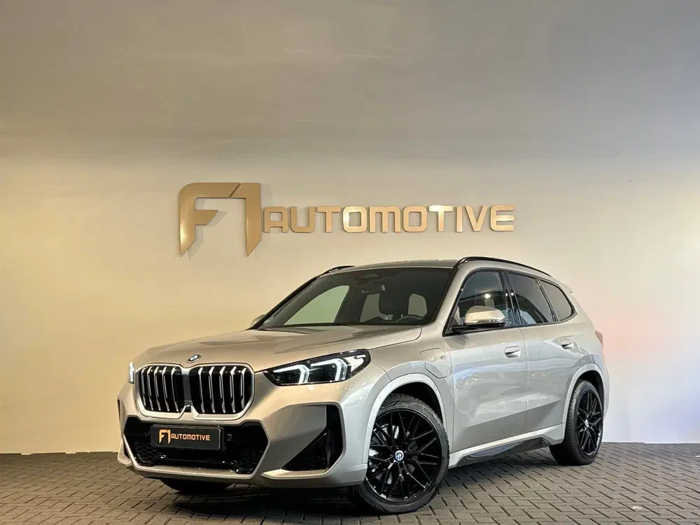 BMW X1 XDrive30e Memory uit 2025