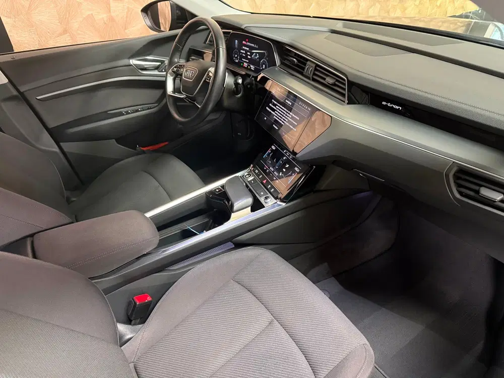 Audi e-tron 55 quattro edition 95 kWh uit 2020, foto 10